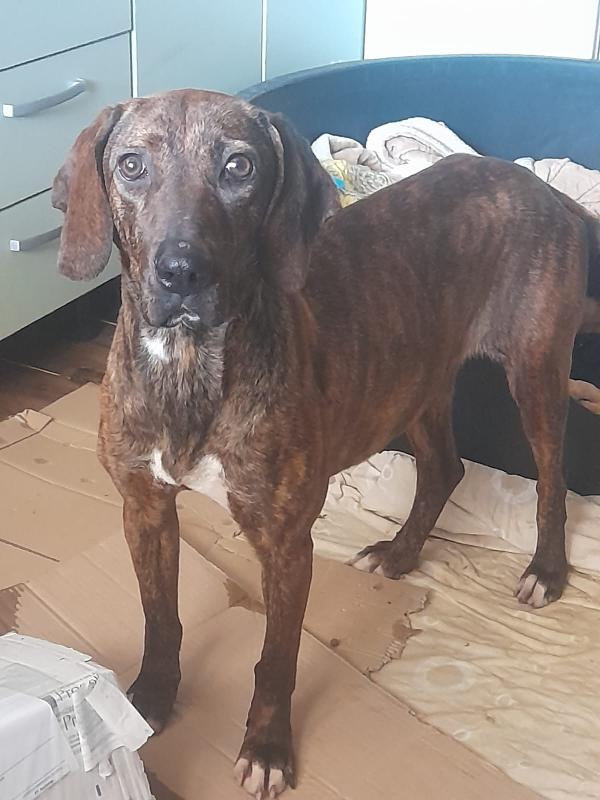 💔 Lidia, abbandonata ma con tanta voglia di vivere 💔 Foto 3